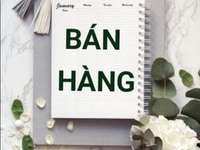 Quận Thủ Đức ưu tiên sinh viên làm thêm Quận Thủ Đức ưu tiên sinh viên làm thêm