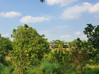 Cần Bán Gấp 4800m Đất Thổ Cư Gần Sân Golf Cần Bán Gấp 4800m Đất Thổ Cư Gần Sân Golf
