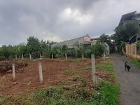 Chính chủ bán gấp đất 234.7m2 có thổ cư 60m2, huyện Đất Đỏ, Bà Rịa Chính chủ bán gấp đất 234.7m2 có thổ cư 60m2, huyện Đất Đỏ, Bà Rịa