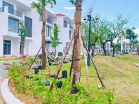 Nhà phố Royal Park khu B hướng Đông giá đầu tư Nhà phố Royal Park khu B hướng Đông giá đầu tư