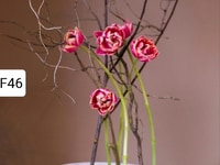 Tranh hoa phong cách Nhật bản Ikebana treo tường Tranh hoa phong cách Nhật bản Ikebana treo tường