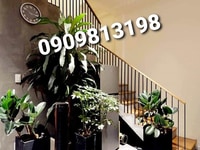 GIẢM SỐC 800tr bán RẺ 6 tỷ nhà ĐẸP 71m2 3PN full NTCC Q4. GIẢM SỐC 800tr bán RẺ 6 tỷ nhà ĐẸP 71m2 3PN full NTCC Q4.