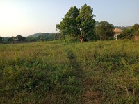 Bán đất thổ cư view cực đẹp tại Lương Sơn, Hòa Bình diện tích 4200m2 Bán đất thổ cư view cực đẹp tại Lương Sơn, Hòa Bình diện tích 4200m2