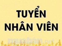 Cần gấp 02 nhân viên làm việc tại cửa hàng Cần gấp 02 nhân viên làm việc tại cửa hàng