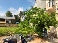 Bán Đất Mặt Tiền Đường Phường Trường Thạnh – Quận 9 Bán Đất Mặt Tiền Đường Phường Trường Thạnh – Quận 9