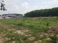 Nhà có lô đất 2000m2 bán gấp sau lưng khu công nghiệp Becamex Nhà có lô đất 2000m2 bán gấp sau lưng khu công nghiệp Becamex