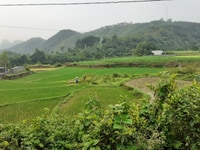 Bán gấp đất thổ cư giá siêu rẻ view đẹp tại Lương Sơn, Hòa Bình Bán gấp đất thổ cư giá siêu rẻ view đẹp tại Lương Sơn, Hòa Bình