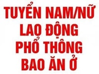 100 Nhân Viên Phụ Xe Giao Hàng Làm Việc Tại TP HCM 100 Nhân Viên Phụ Xe Giao Hàng Làm Việc Tại TP HCM