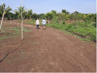 Bán đất làm vườn, vị trí đẹp, cách QL1A 1,5km. 600tr/ 830m2 Bán đất làm vườn, vị trí đẹp, cách QL1A 1,5km. 600tr/ 830m2