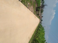 Bán nhanh 7500m2, Cách hồ Châu Pha 100m. có đường 8m, Giá chưa 1tr/m2 Bán nhanh 7500m2, Cách hồ Châu Pha 100m. có đường 8m, Giá chưa 1tr/m2