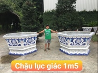 Chậu hoa dán sành sứ _ CHUYÊN CHẬU HOA Chậu hoa dán sành sứ _ CHUYÊN CHẬU HOA
