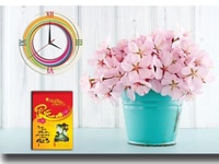Tìm đại lý - cộng tác viên phân phối khung lịch treo tường Tìm đại lý - cộng tác viên phân phối khung lịch treo tường