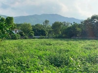 Chính chủ bán lô đất tại Liên Sơn, Lương Sơn, Hòa Bình. Chính chủ bán lô đất tại Liên Sơn, Lương Sơn, Hòa Bình.