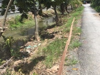 Nhà đất 333m mặt tiền đường Kênh Nổi, Long Định,Châu Thành,Tiền Giang Nhà đất 333m mặt tiền đường Kênh Nổi, Long Định,Châu Thành,Tiền Giang