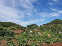 Đất Thổ cư gần Đà Lạt, cafe Mê Linh chỉ từ 300 triệu xây nhà, homestay Đất Thổ cư gần Đà Lạt, cafe Mê Linh chỉ từ 300 triệu xây nhà, homestay