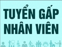 Mình cần tuyển gấp kế toán nội bộ, ưu tiên đi làm ngay