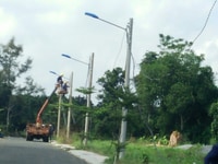 Đất Dầu giây 300m2 sổ hồng riêng , thổ cư . Đất Dầu giây 300m2 sổ hồng riêng , thổ cư .