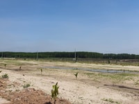 Đất Nghĩ Dưỡng Ven Biển, Đối Diện Sân Bay Lộc An , Sổ Hồng Riêng Đất Nghĩ Dưỡng Ven Biển, Đối Diện Sân Bay Lộc An , Sổ Hồng Riêng