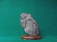 Bán đá cảnh tự nhiên,nhân sư cao 33cm Bán đá cảnh tự nhiên,nhân sư cao 33cm
