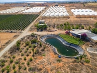 Bán đất có sổ, 75 triệu/ sào (1,000m2),công chứng ngay Bán đất có sổ, 75 triệu/ sào (1,000m2),công chứng ngay