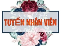 Việc làm ưu tiên sinh viên không cần ngoại hình Việc làm ưu tiên sinh viên không cần ngoại hình