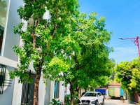 Bán nhà vừa xây chưa kịp ở như hình Bán nhà vừa xây chưa kịp ở như hình