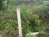 Bán đất Thôn An Bình, Xã Cam Thanh, Huyện Cam Lộ Bán đất Thôn An Bình, Xã Cam Thanh, Huyện Cam Lộ