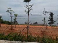 Kẹt Tiền Bán Gấp Lô Đất Ngay Đường Huỳnh Phúc Kháng Phan Thiết, SHR Kẹt Tiền Bán Gấp Lô Đất Ngay Đường Huỳnh Phúc Kháng Phan Thiết, SHR
