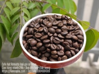 Cà phê hạt Robusta tại Đồng Nai giá sỉ bình ổn thị trường 12 tháng Cà phê hạt Robusta tại Đồng Nai giá sỉ bình ổn thị trường 12 tháng