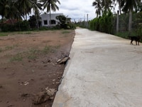 Bán lô đất thổ cư 100% đường Nguyễn Thị Kim Biên, Tân Trụ, giá tốt Bán lô đất thổ cư 100% đường Nguyễn Thị Kim Biên, Tân Trụ, giá tốt