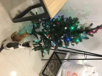 Thanh lý cây thông Noel còn mới Thanh lý cây thông Noel còn mới