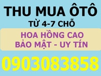 Chuyên mua các loại xe hơi đời mới, giá cao hơn thị trường