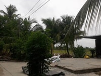 Bán 2.125m², có 300m² thổ cư, đất vuông vức đẹp cực kỳ Bán 2.125m², có 300m² thổ cư, đất vuông vức đẹp cực kỳ