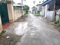 Bán đất 130m2 mặt đường thôn Hòa Chử, Trường Thành, An Lão Bán đất 130m2 mặt đường thôn Hòa Chử, Trường Thành, An Lão