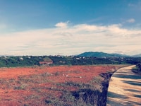 Bán đất view đẹp hẻm 71 Trần Nhật Duật, Dambri, Tp. Bảo Lộc Bán đất view đẹp hẻm 71 Trần Nhật Duật, Dambri, Tp. Bảo Lộc