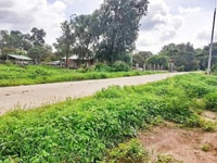 Đất sân vườn, Villa biệt thự, Phú Mỹ, SHR 841tr-600m2 Đất sân vườn, Villa biệt thự, Phú Mỹ, SHR 841tr-600m2