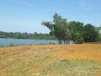 Cần bán gấp 6000m đất mặt hồ đông chanh xâ nhuận trạch Cần bán gấp 6000m đất mặt hồ đông chanh xâ nhuận trạch