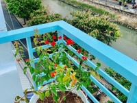 Bán nhà mặt tiền đường Mạc Thiên Tích, Nhà góc 3 mặt tiền tiện kinh do Bán nhà mặt tiền đường Mạc Thiên Tích, Nhà góc 3 mặt tiền tiện kinh do
