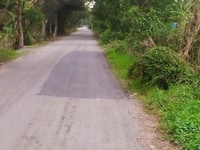 Cần bán lô đất giá rẻ 3.500m2, Đê số 2, Tân Nhựt, Bình Chánh Cần bán lô đất giá rẻ 3.500m2, Đê số 2, Tân Nhựt, Bình Chánh