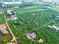 Sỡ hữu nhà vườn ngoại thành Đà Lạt với chỉ 400 triệu đồng Sỡ hữu nhà vườn ngoại thành Đà Lạt với chỉ 400 triệu đồng
