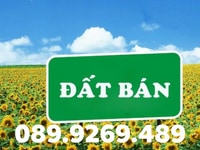 Bán lô đất đẹp ngõ ô tô đi giá rẻ gần chợ Hương Đại Trà Hải Phòng Bán lô đất đẹp ngõ ô tô đi giá rẻ gần chợ Hương Đại Trà Hải Phòng