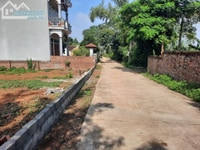 Cần bán 4 lô đất khu vực tân xã phù hợp làm khu phân lô Cần bán 4 lô đất khu vực tân xã phù hợp làm khu phân lô