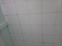 Kho xưởng đẹp sạch 700m2 Nam Lân xã Bà Điểm. HM Kho xưởng đẹp sạch 700m2 Nam Lân xã Bà Điểm. HM