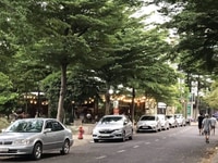 Bán nên Biệt Thự ( 205m ) KDC Thanh Niên XP, P. Hiệp Bình Phước, TĐ Bán nên Biệt Thự ( 205m ) KDC Thanh Niên XP, P. Hiệp Bình Phước, TĐ