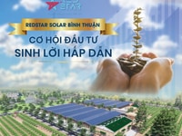 Đầu tư gì vào mùa Covid, để an tòan và lợi tốt Đầu tư gì vào mùa Covid, để an tòan và lợi tốt