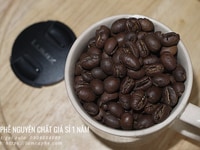 Cà phê hạt nguyên chất Robusta chế biến honey hậu vị đậm giá sỉ 1 năm Cà phê hạt nguyên chất Robusta chế biến honey hậu vị đậm giá sỉ 1 năm