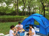 Lều cắm trại tự bung dành cho 4-6 người Gazelle Outdoor GL1666 Lều cắm trại tự bung dành cho 4-6 người Gazelle Outdoor GL1666