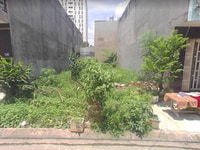 Bán đất 96M2, Bình Khánh Cần Giờ 1,9 tỷ sổ hồng riêng xây dựng tự do Bán đất 96M2, Bình Khánh Cần Giờ 1,9 tỷ sổ hồng riêng xây dựng tự do