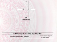 Nhà MT khu chợ mới, P1, TX Cai Lậy Nhà MT khu chợ mới, P1, TX Cai Lậy