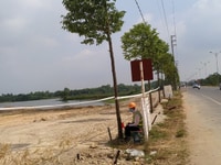 Đất nền TMS Đầm Cói, lô đường thông giá tốt, chiết khấu 1%, tt 12 đợt Đất nền TMS Đầm Cói, lô đường thông giá tốt, chiết khấu 1%, tt 12 đợt